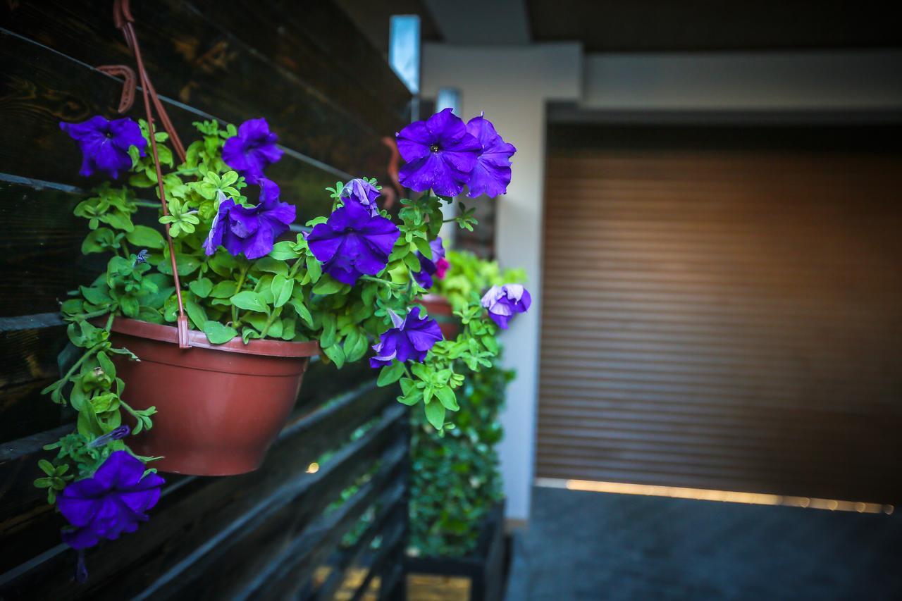 Zabrat Armada Villa Hotel מראה חיצוני תמונה